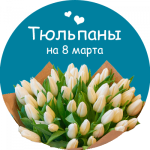 Купить тюльпаны в Барабинске